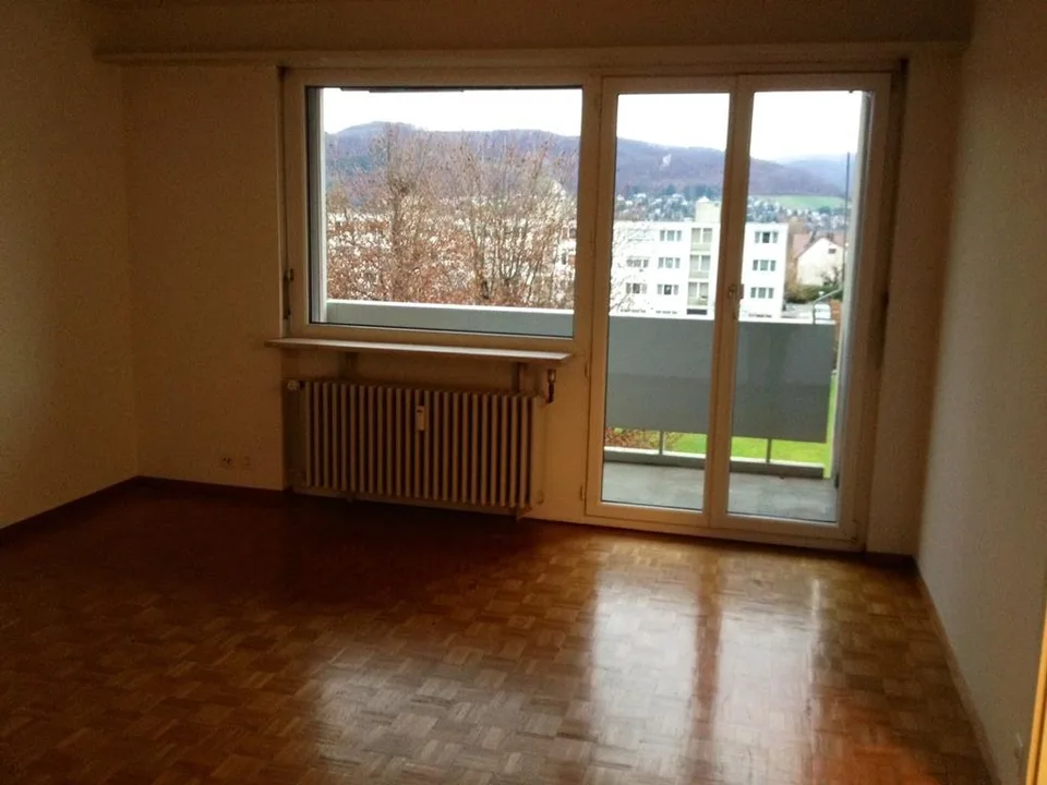 Schöne 1-Zimmerwohnung in Reinach