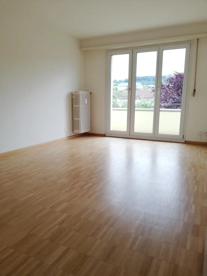 Charmante 3-Zimmerwohnung mit Balkon