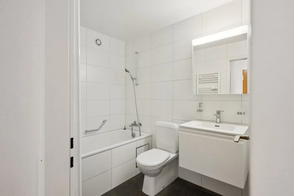 helle grosszügige Wohnung