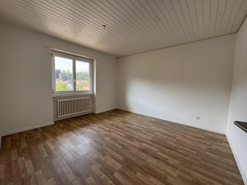 Appartement attractif de 2.0 pièces à Schönenwerd