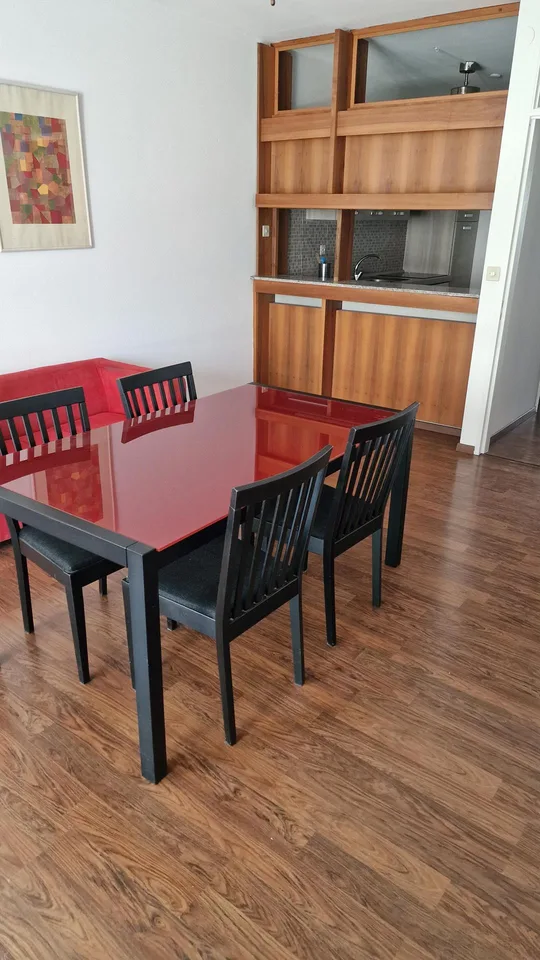 AFFITTASI Appartamento arredato di 2.5 locali a Lugano-Cassarate