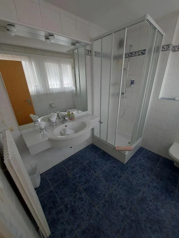 Hotel Alpha schöner Dreisternebetrieb in Saas-Grund. – Foto 10 von 17