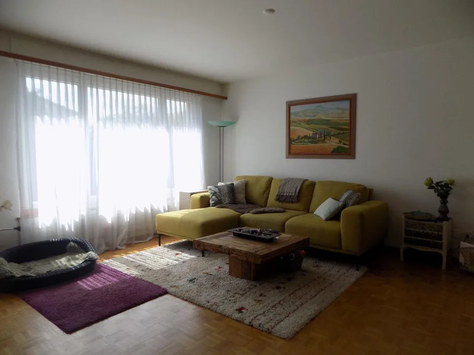Incantevole casa bifamiliare con giardino e garage a Möhlin