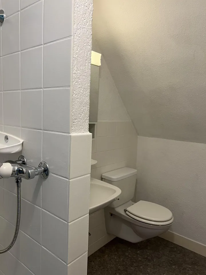 Möblierte Single-Wohnung in Neuhausen