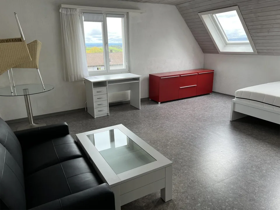 Möblierte Single-Wohnung in Neuhausen