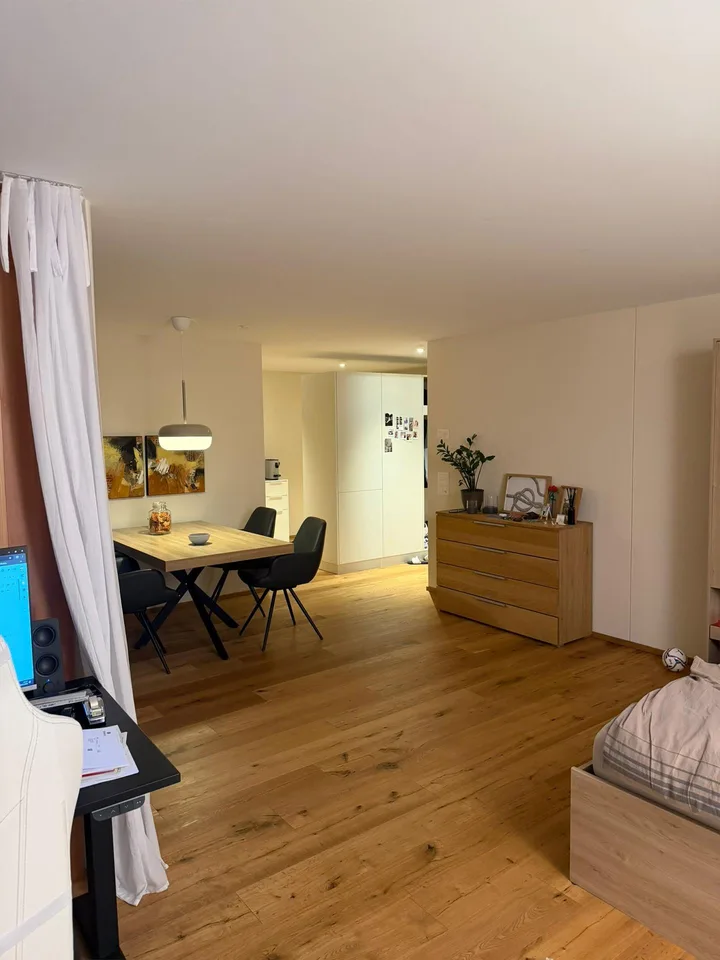 Helle, moderne 1.5 Zimmerwohnung