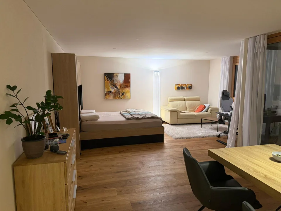 Helle, moderne 1.5 Zimmerwohnung