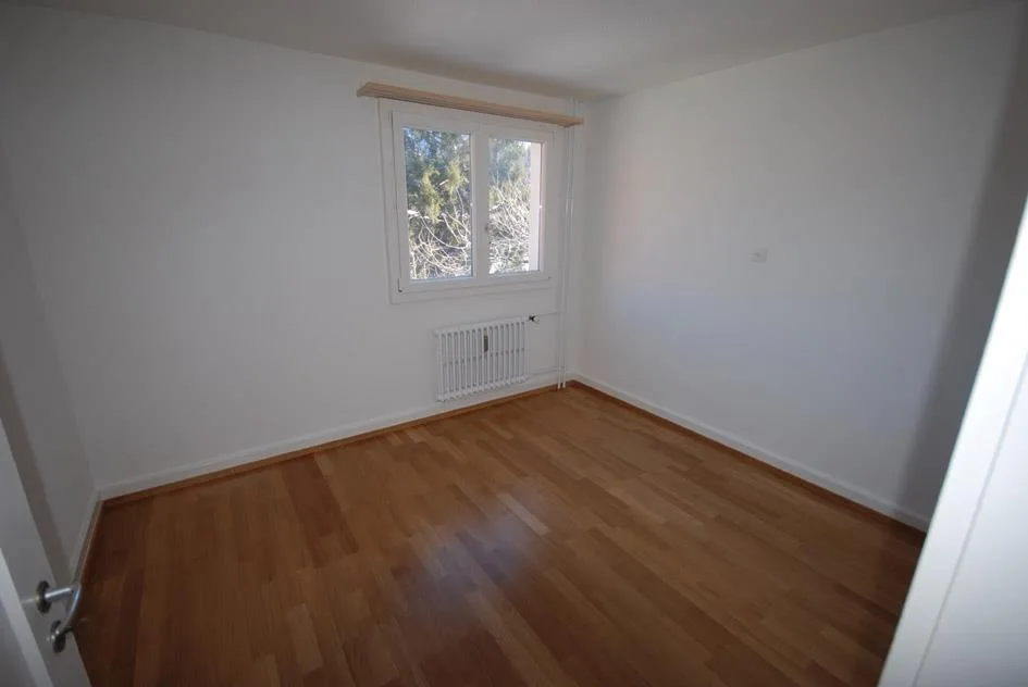 3 Zimmer Wohnung