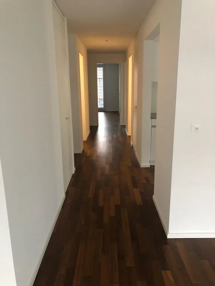 4.5 Zimmerwohnung in Dietikon