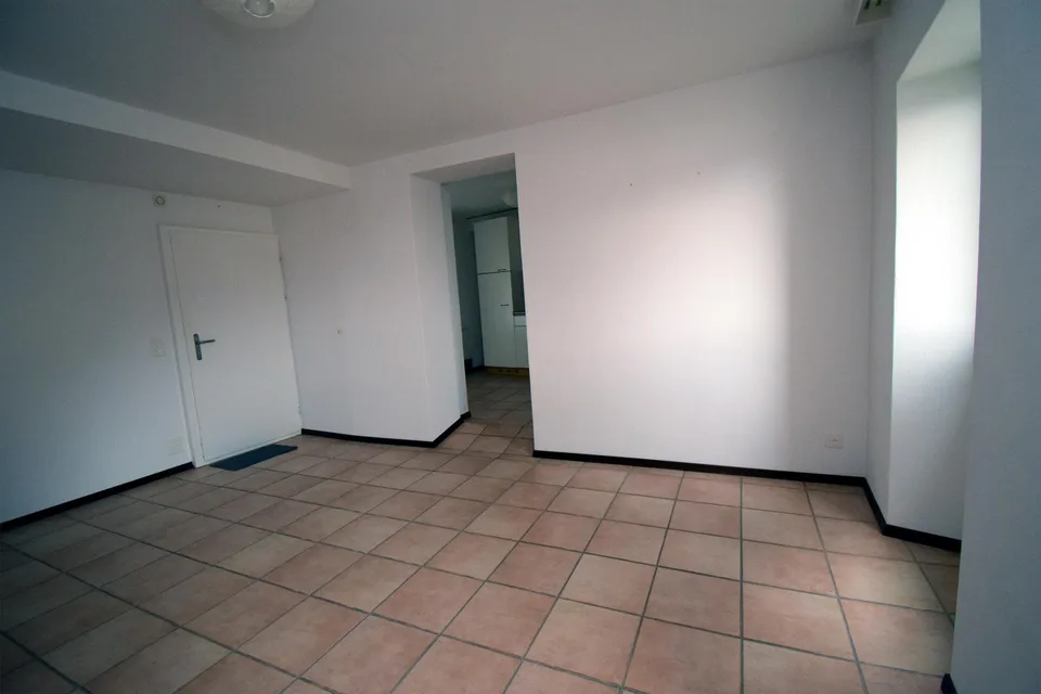 Ronco S/Ascona - 3.5 locali con vista lago- res. primaria (ref. 189-6)