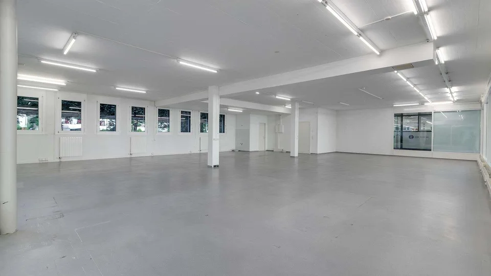 Repräsentative Büro- oder Gewerbefläche an zentraler Lage in Schaff...