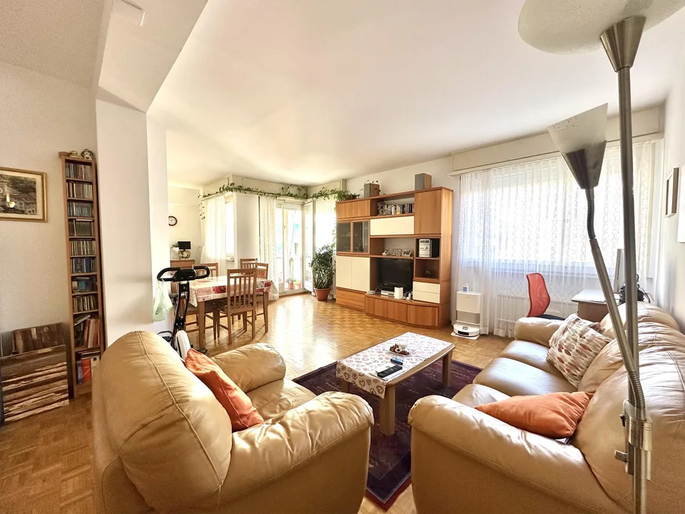 Spazioso appartamento di 3.5 locali molto centrale con balcone a Lu...
