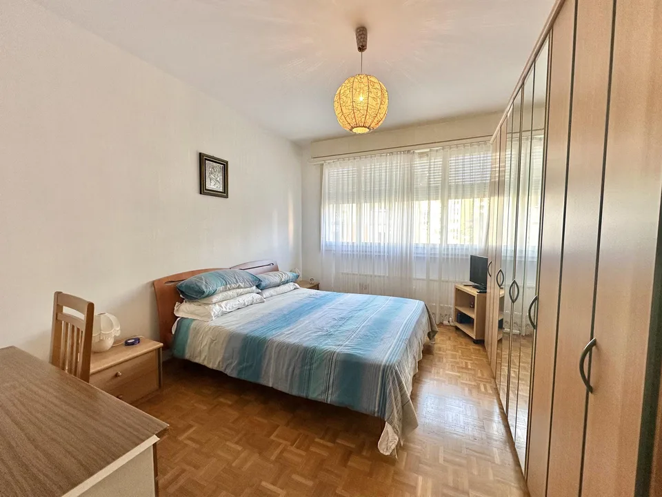 Spazioso appartamento di 3.5 locali molto centrale con balcone a Lu...