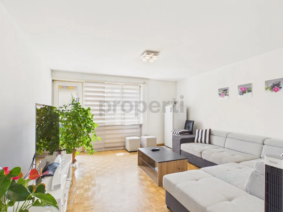 Helle und grosszügige Wohnung mit sonnigem Balkon