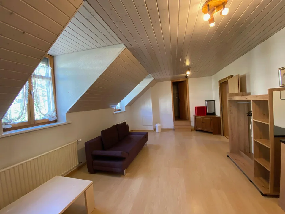 Ehemaliges Hotel Euler zum Eishof, Seewen SO – photo 9 sur 15