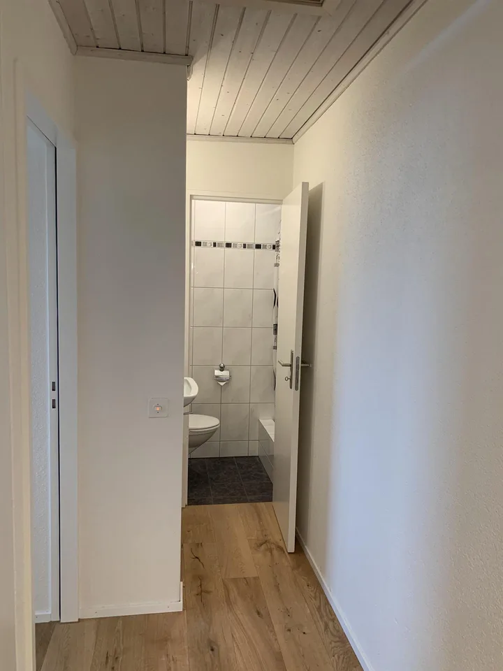 Grosszügige Attika-Maisonettewohnung