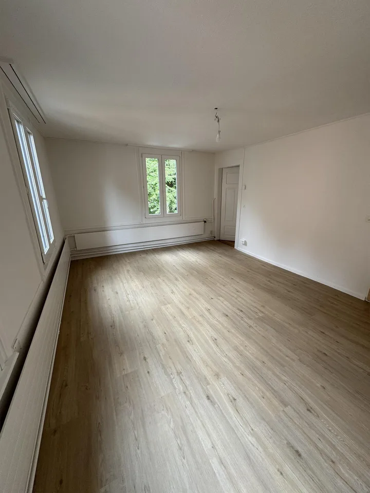 Charmante 3 + 3-Zimmer-Altbauwohnung mit vielen Nutzungsmöglichkeiten