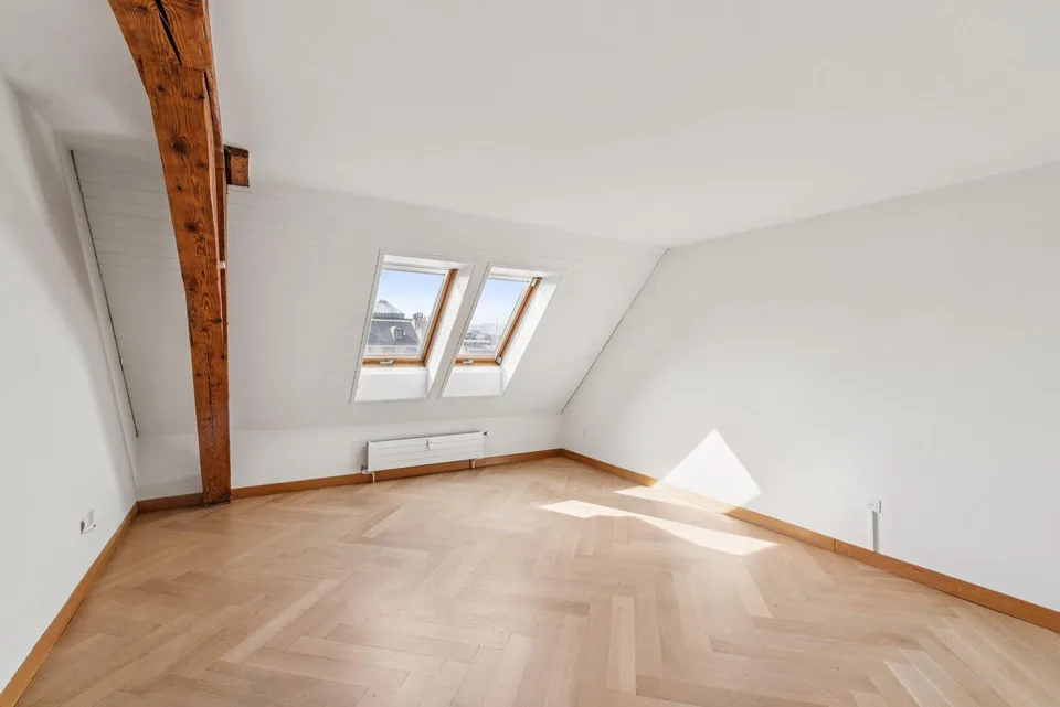 Magnifico duplex ristrutturato di 7 locali con balcone nel cuore di Ginevra – foto 7 di 10