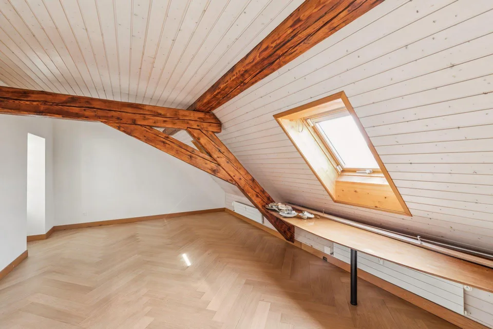 Magnifico duplex ristrutturato di 7 locali con balcone nel cuore di Ginevra – foto 6 di 10