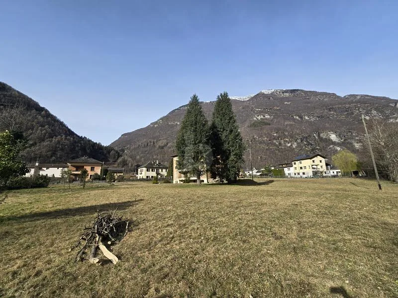 AMPIO E SOLEGGIATO IN POSIZIONE TRANQUILLA