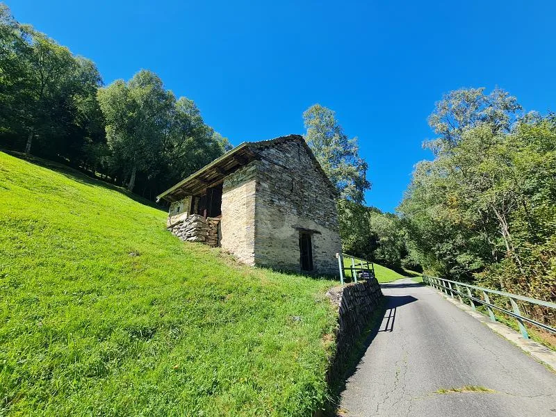 Mit Blick zwischen Sonne und Natur