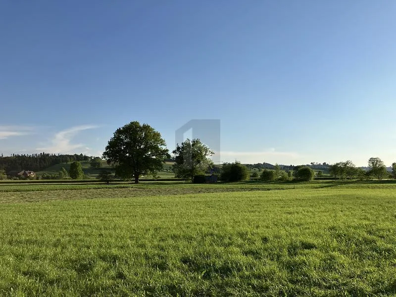 FLEXIBLER NEUBAU FÜR IDUVIDUELLE BEDÜRFNISSE