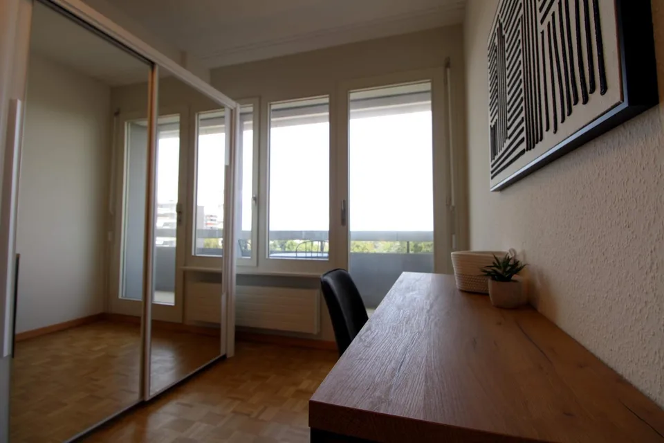 Spacious Coliving with International Connections in Le Grand-Saconnex