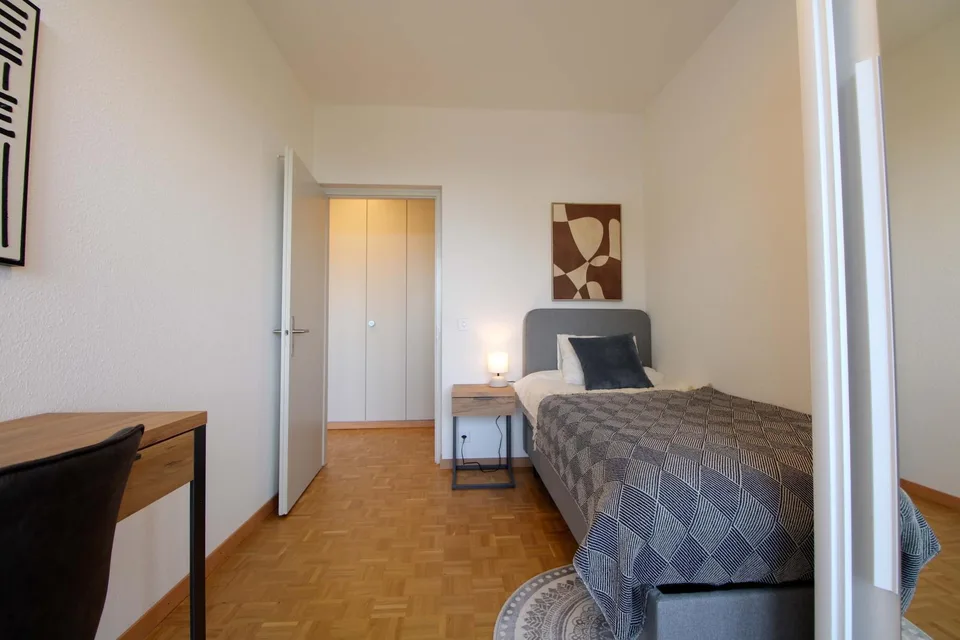 Spacious Coliving with International Connections in Le Grand-Saconnex
