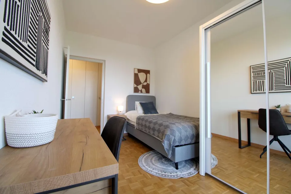 Spacious Coliving with International Connections in Le Grand-Saconnex