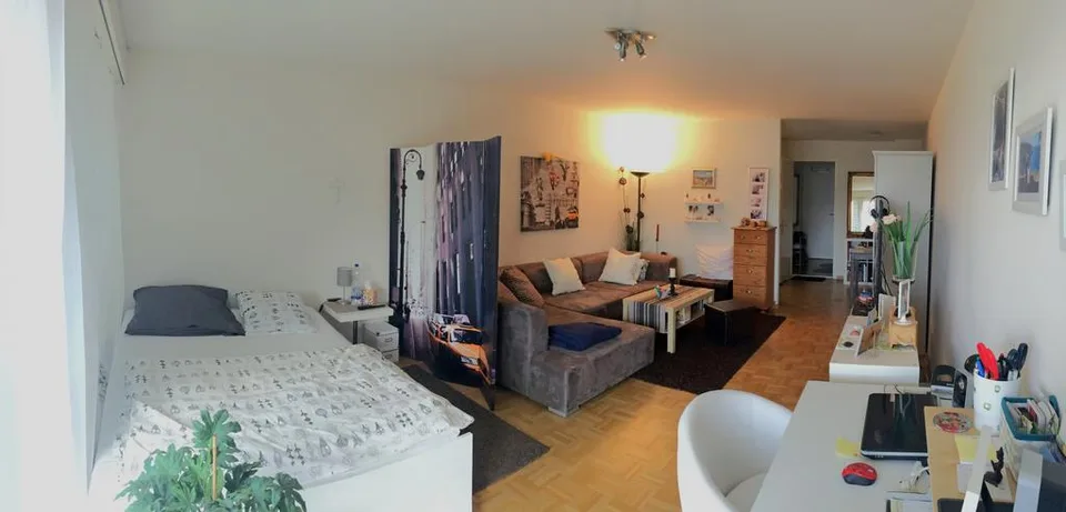 Charmante 1.5-Zimmer-Wohnung an ruhiger Lage in Luzern
