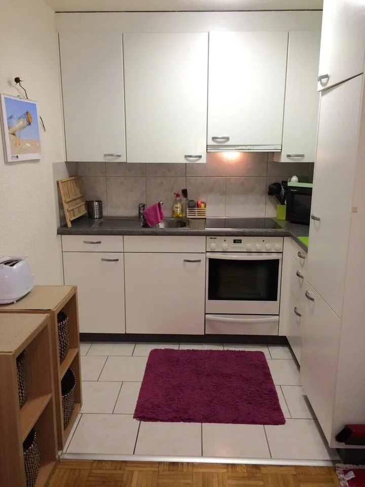 Charmante 1.5-Zimmer-Wohnung an ruhiger Lage in Luzern