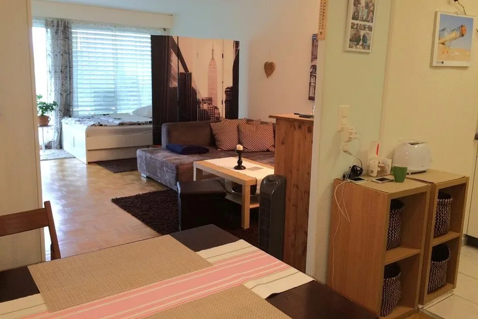 Charmante 1.5-Zimmer-Wohnung an ruhiger Lage in Luzern