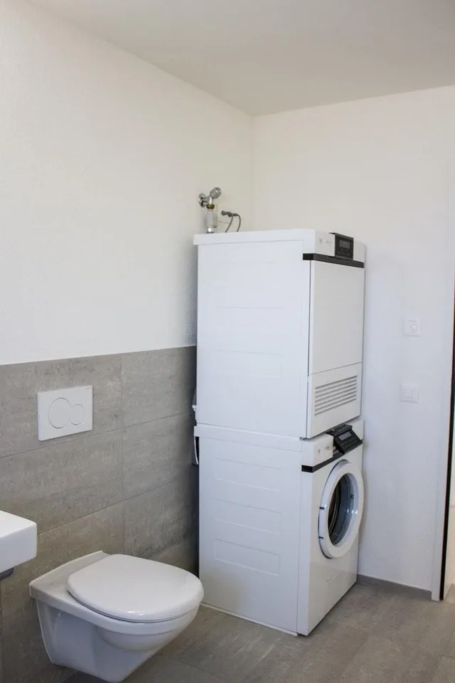 Renting bright and modern 2.5 rooms