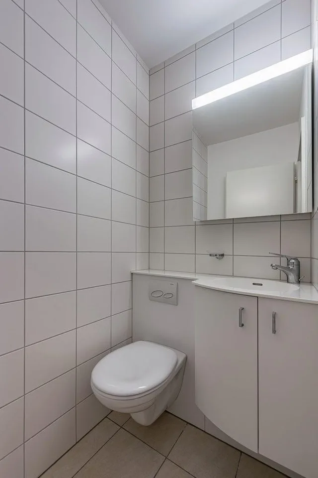 Über den Dächern von Basel