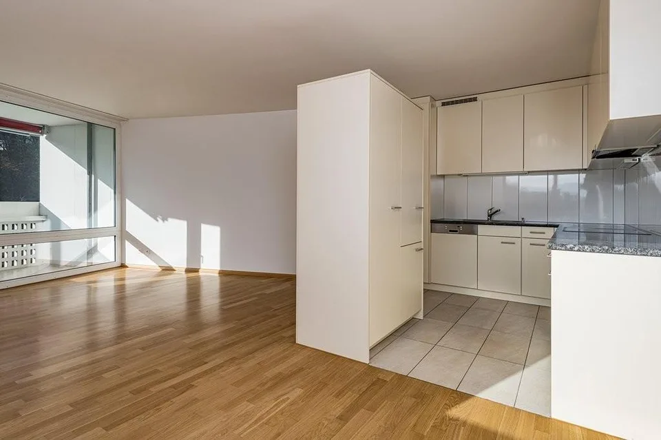 Über den Dächern von Basel
