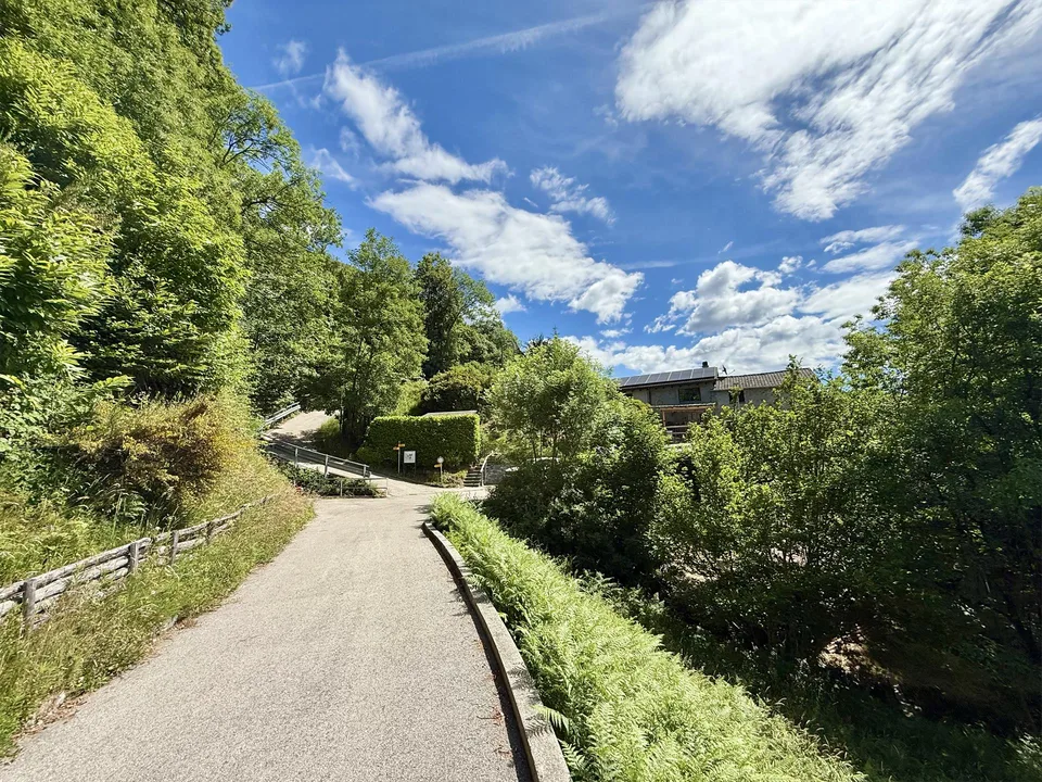 Rustico in pietra da riattare / Naturstein-Rustico mit Ausbaupotenzial – foto 6 di 13