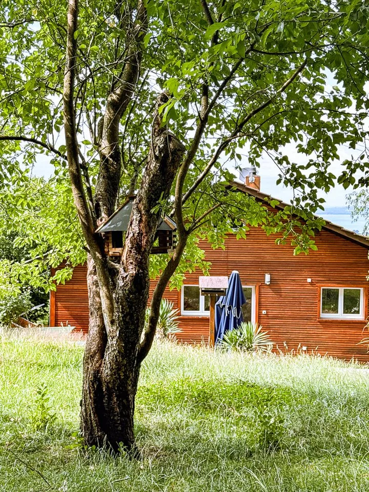 Ihr Zuhause im Grünen – mit Panorama über den Bodensee – photo 22 of 30