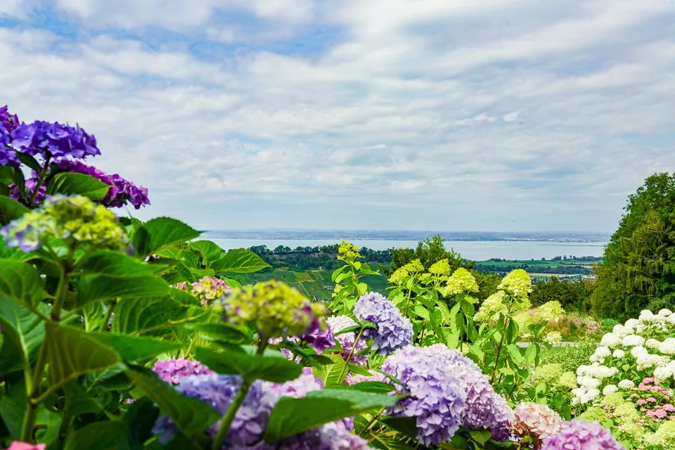 Ihr Zuhause im Grünen – mit Panorama über den Bodensee