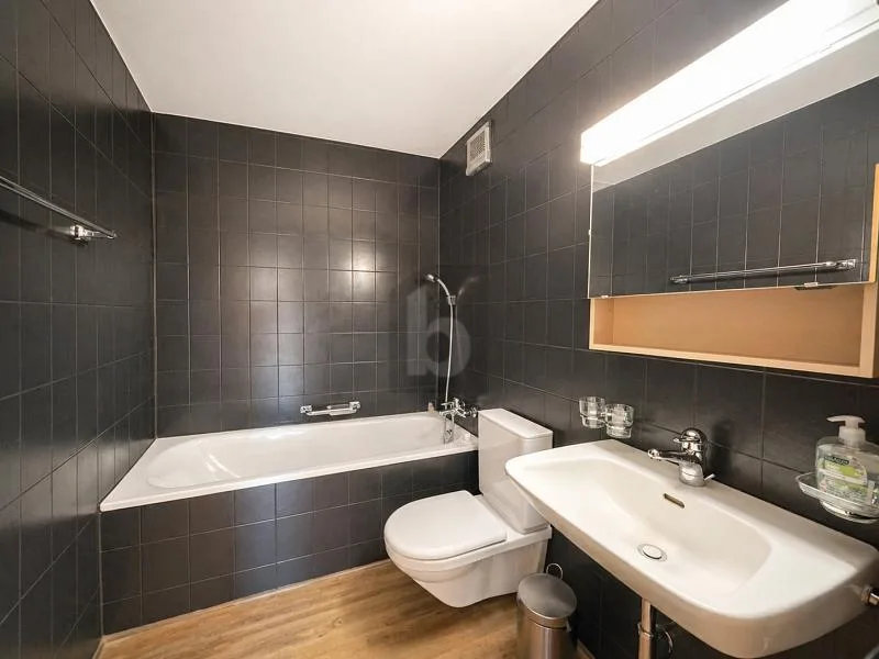 Freshly Renovated with Large Terrace