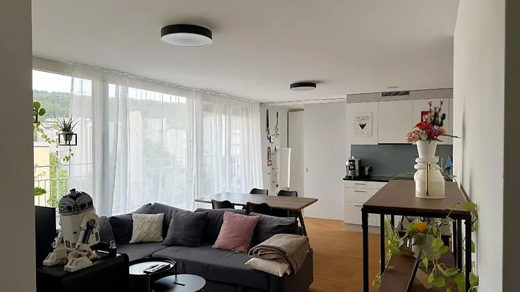 3½ ZI-WOHNUNG IN ZÜRICH - KREIS 12 HIRZENBACH, MÖBLIERT, TEMPORÄR
