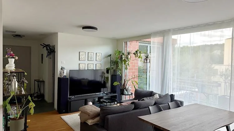 3½ ZI-WOHNUNG IN ZÜRICH - KREIS 12 HIRZENBACH, MÖBLIERT, TEMPORÄR