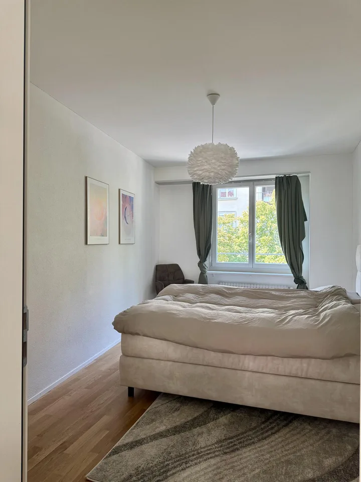 Helle moderne 3.5 Zimmer Wohnung im Herzen von Luzern
