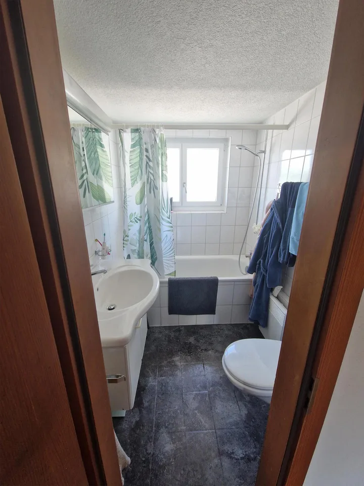 3 Zimmer Dachwohnung mit Estrich