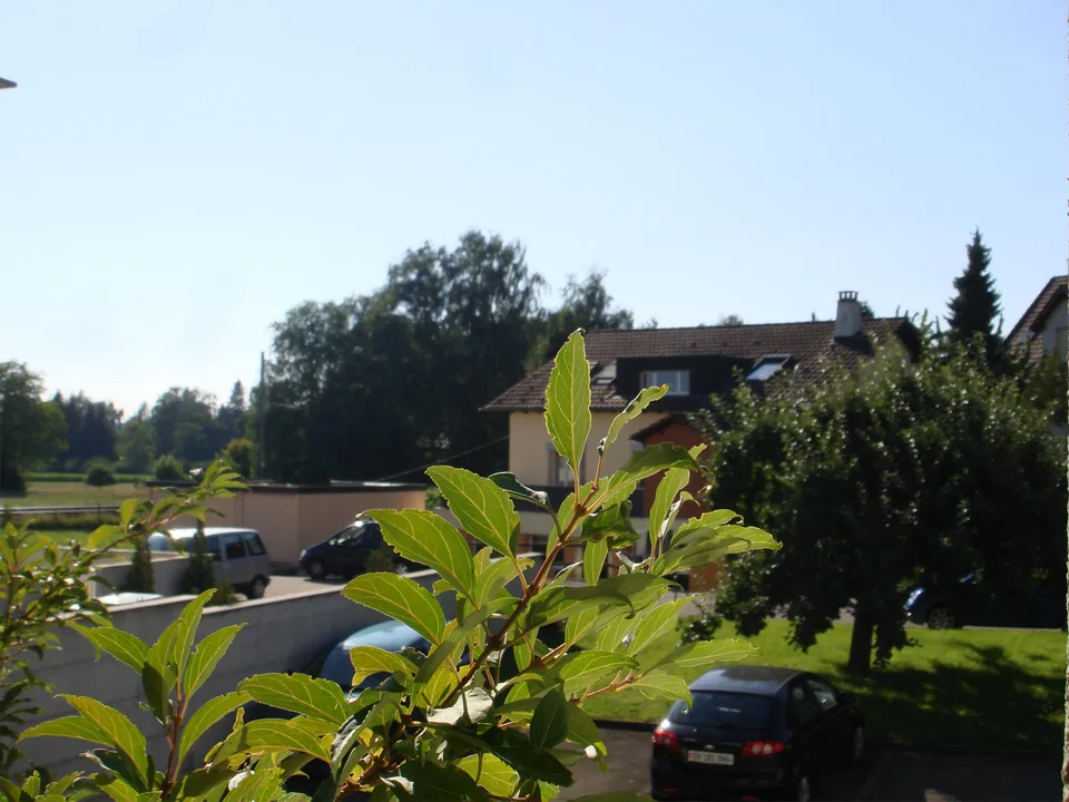Attraktive 3,5-Zi.-Whg. im 1. OG., mit Blick in's Grüne, zentrumsnah