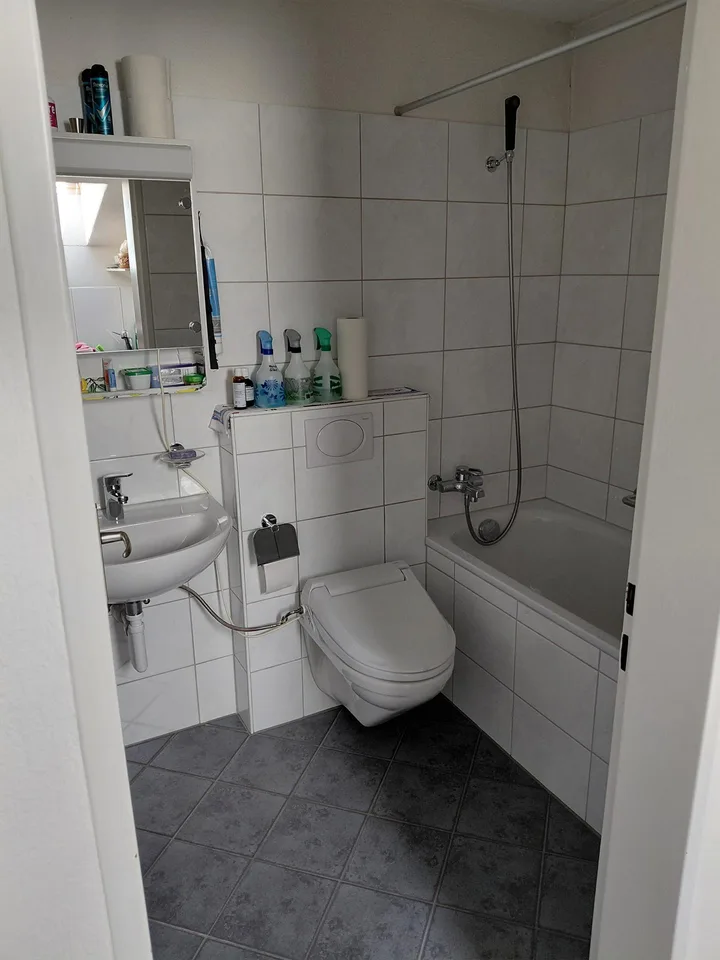 1,0 camera da letto a Dübendorf