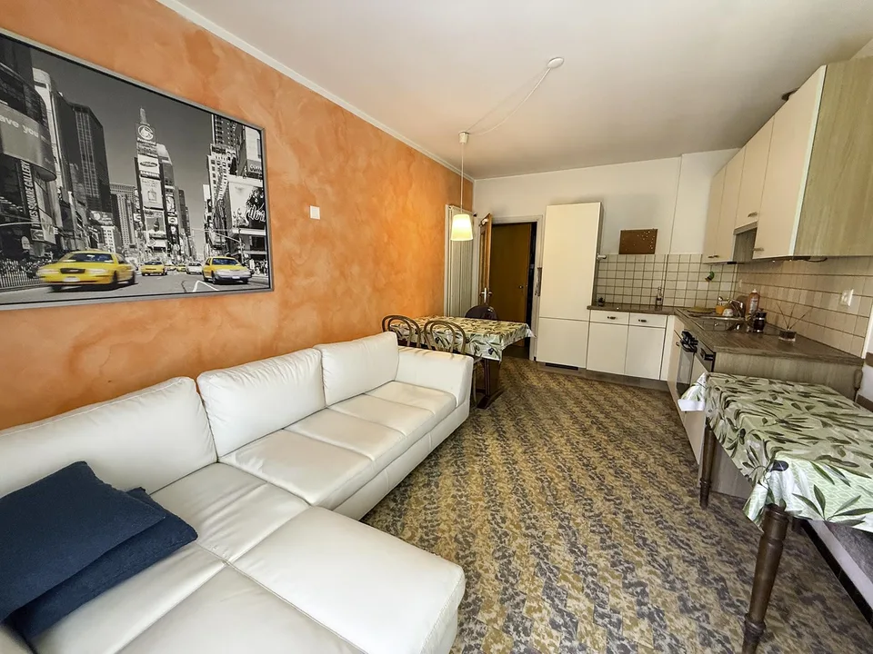 Grande Casa Bifamiliare di 9 locali da rinnovare, con terreno edificab – foto 19 di 24