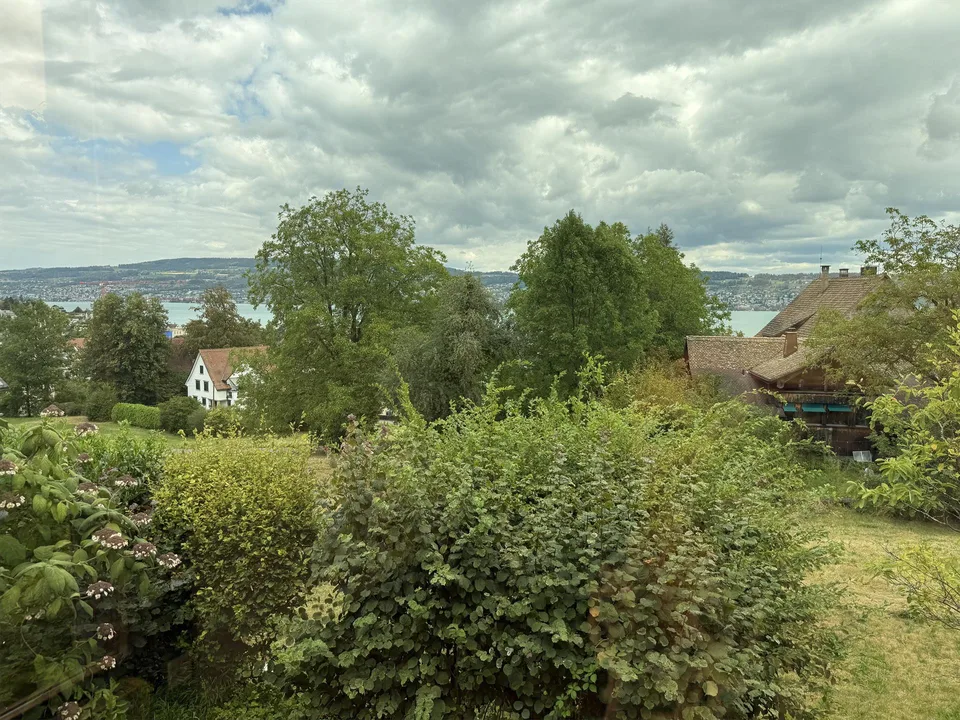 Einfamilienhaus mit Seeblick