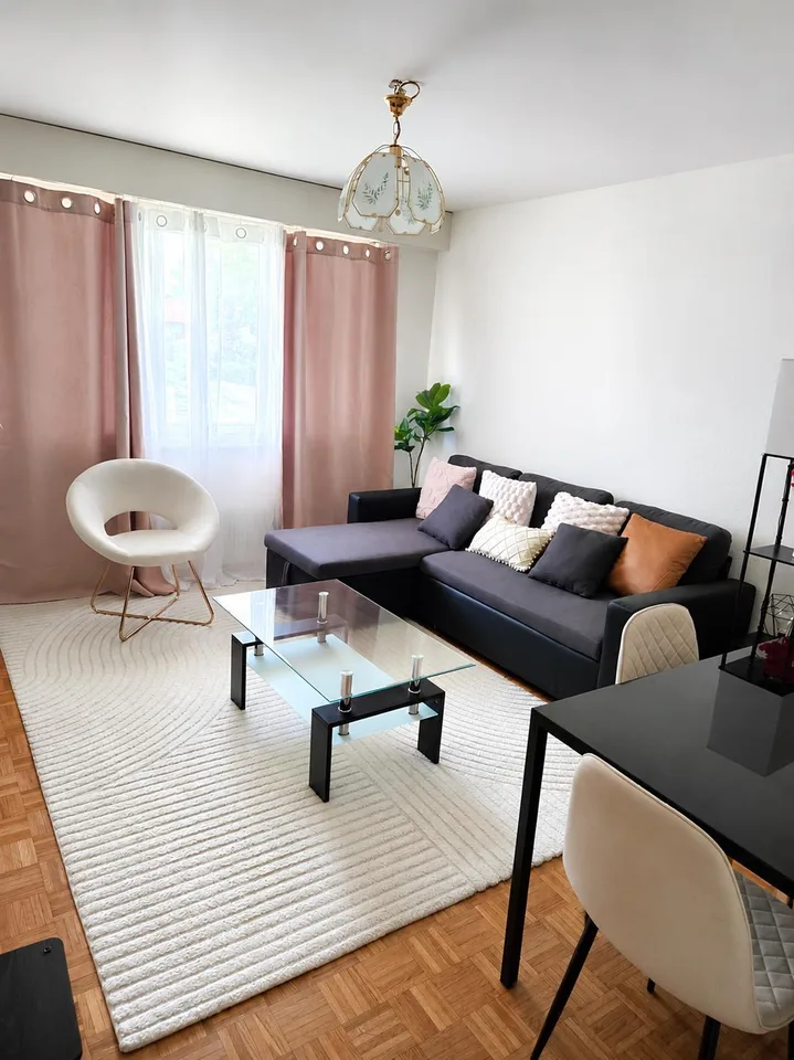Appartement 1 chambre, reprise de bail
