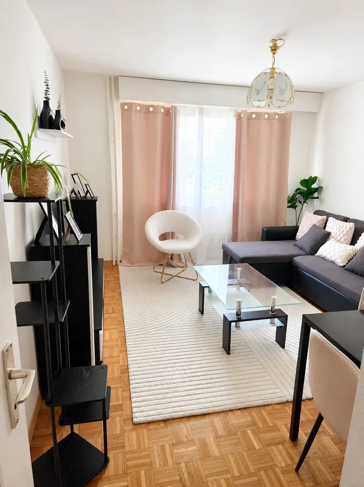 Appartement 1 chambre, reprise de bail