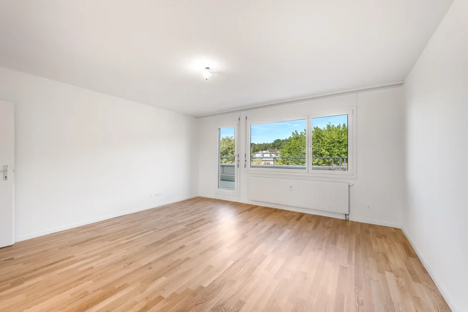 Rêve de grenier fraîchement rénové avec grande terrasse sur le toit vous cherche !